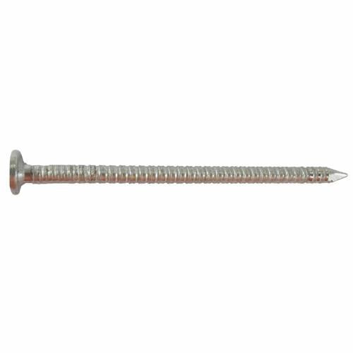 Ecko Flat Head Nails 60 X 3.15mm 2kg 316 Stainless Steel