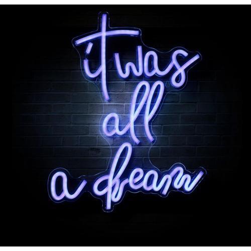 Everglow It Was All A Dream Neon Light