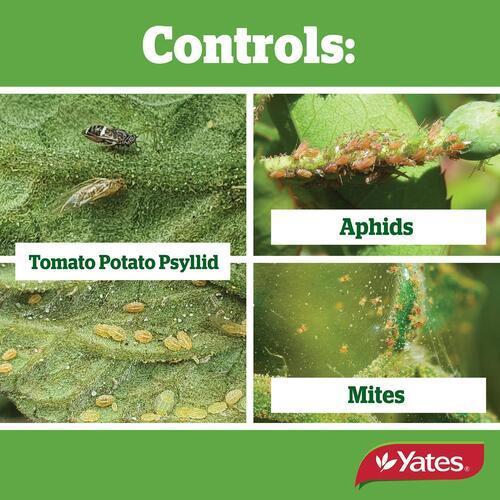 Mavrik Insecticide 200ml - Yates