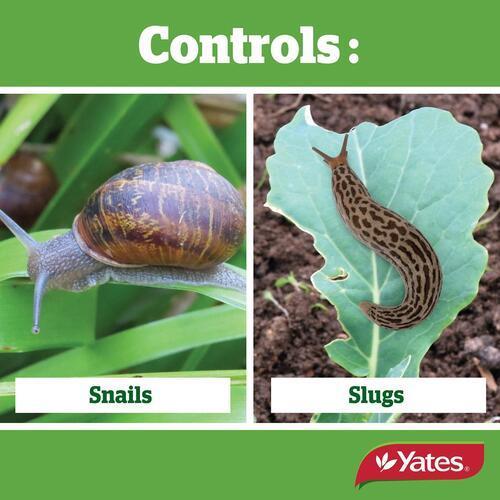 Blitzem Slug & Snail Bait 1kg - Yates