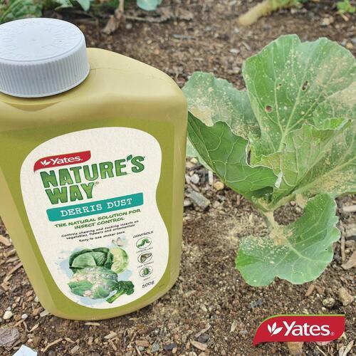 Nature's Way Derris Dust 500g - Yates