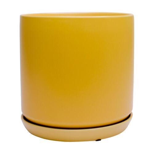 Bloom Indoor Adelle Pot And Saucer 6cm Mustard
