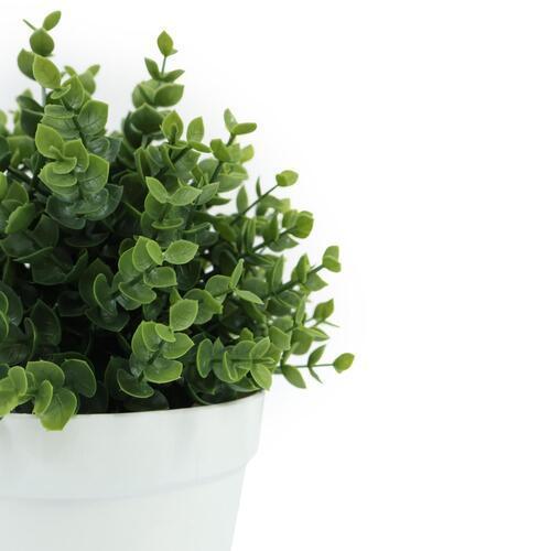 Botanicals Collection Artificial Eucalyptus Plant In Pot 12.5cm