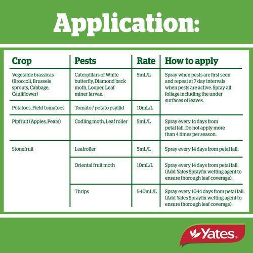 Insecticide Success Ultra 200ml - Yates