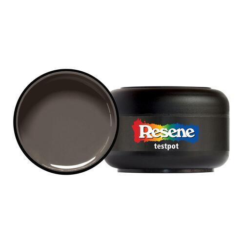 Testpot 60ml Double Mondo - Resene