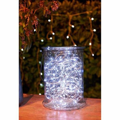 Nouveau 100 Seed Lights 10.2m White