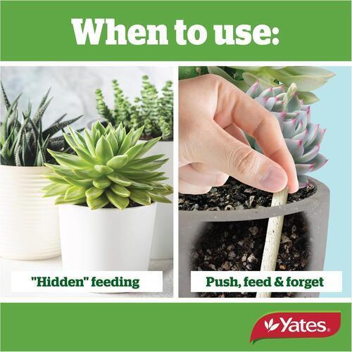 Cacti & Succulent Fertiliser Spikes 30 Pack - Yates