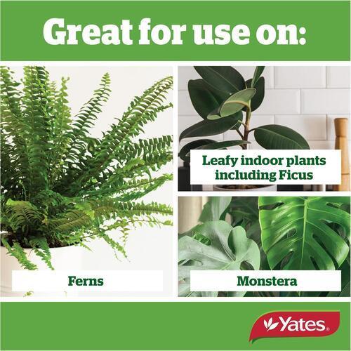 Thrive Indoor Plant Fertiliser 500ml - Yates
