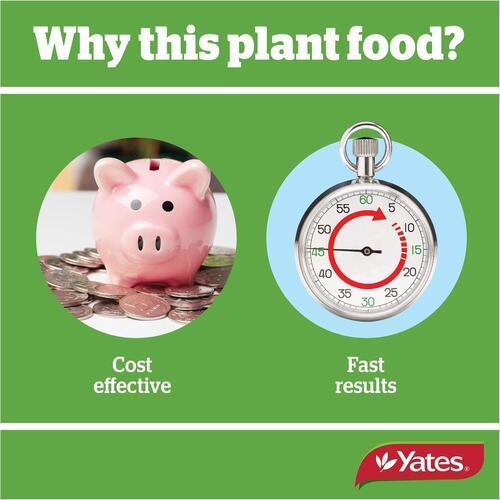 Thrive Indoor Plant Fertiliser 500ml - Yates
