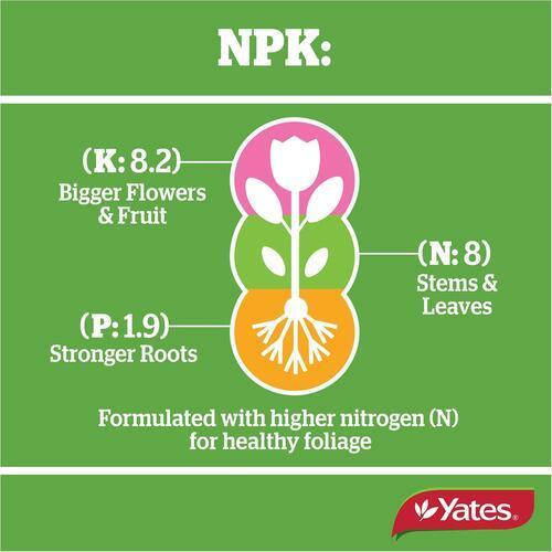 Thrive Indoor Plant Fertiliser 500ml - Yates