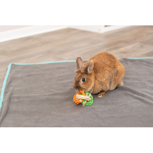 Pet Toy - Maize Leaf Rings (6 x 15cm)