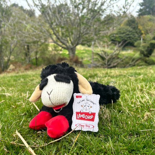 Dog Toy - Lamb Chop Black (25cm)