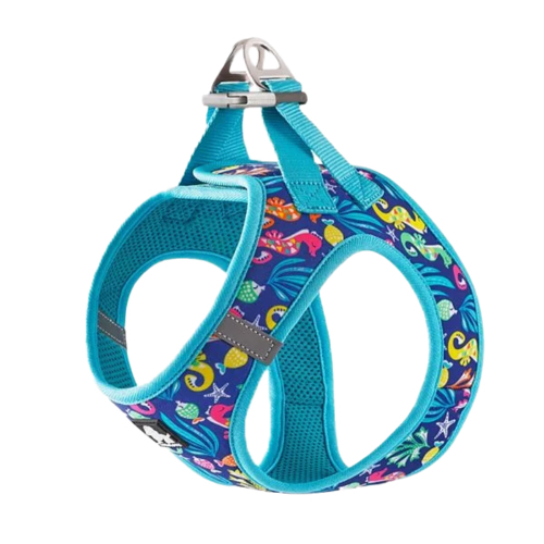 Fashion Mesh Harness - Blue Atoll (Small)