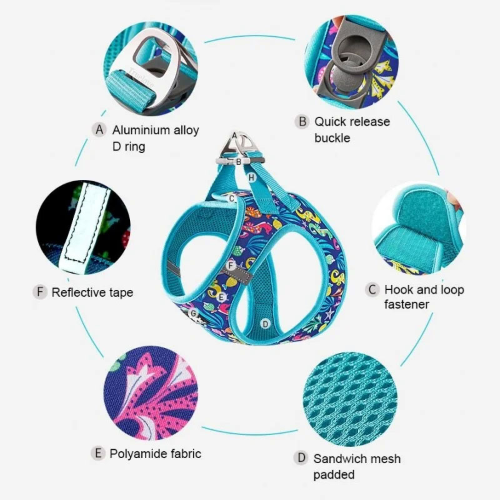 Fashion Mesh Harness - Blue Atoll (XS)