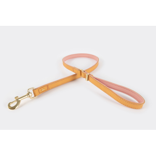 ED Dog Leash - Oxford Blush (100cm)