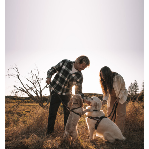 ED Dog Leash - Soft Trainer Black Denim (25mm)