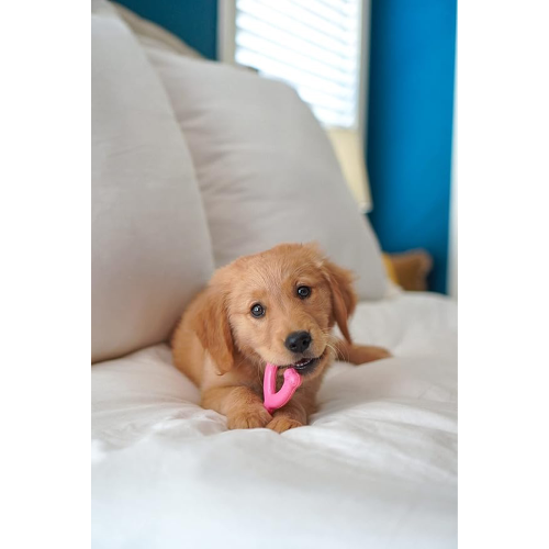 Puppy Wishbone Chew - Pink (Petite)