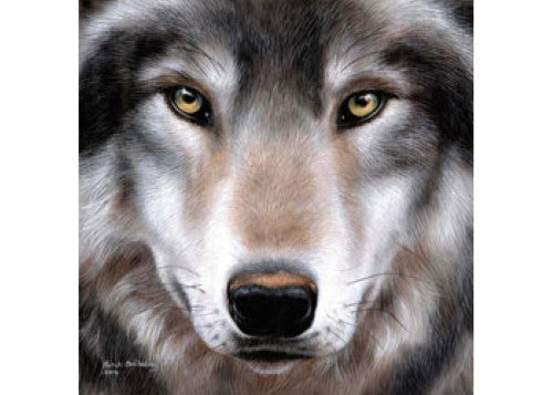 Engaging 5D Diamond Painting kit featuring a detailed wolf design, perfect for creative relaxation and home decor.