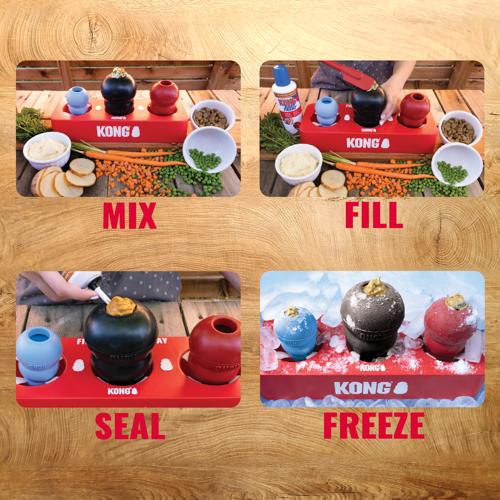 Dog Treat Freezing Tray KONG Fill or Freeze