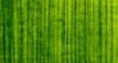 Artist Oil Paint - As Oil 150ml S3 Aust Green Gold