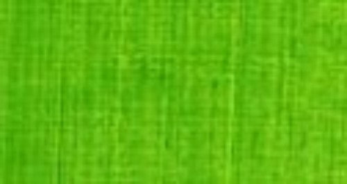 Artist Oil Paint - As Oil 40ml S3 Aust Leaf Green Light