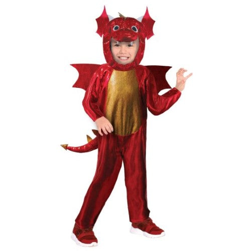 Costume Dragon Boys 4-6 Years
