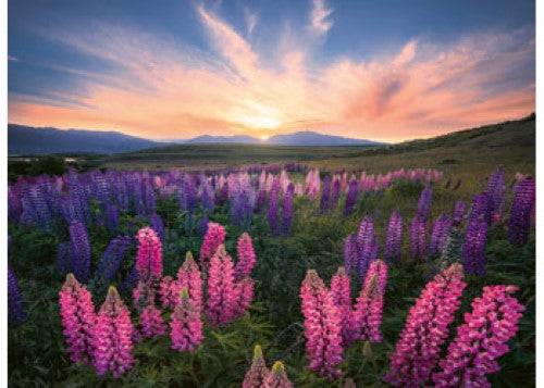 Ravensburger Lupines Puzzle 500 Pieces