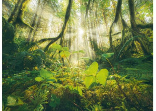 Ravensburger Four Seasons Puzzle 4x500 Pieces