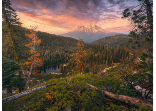 Ravensburger Four Seasons Puzzle 4x500 Pieces