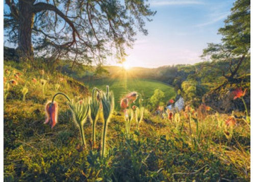 Ravensburger Four Seasons Puzzle 4x500 Pieces