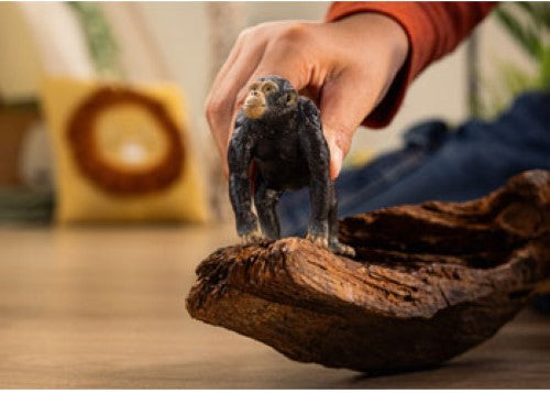 Schleich - Chimpanzee 2025 Release