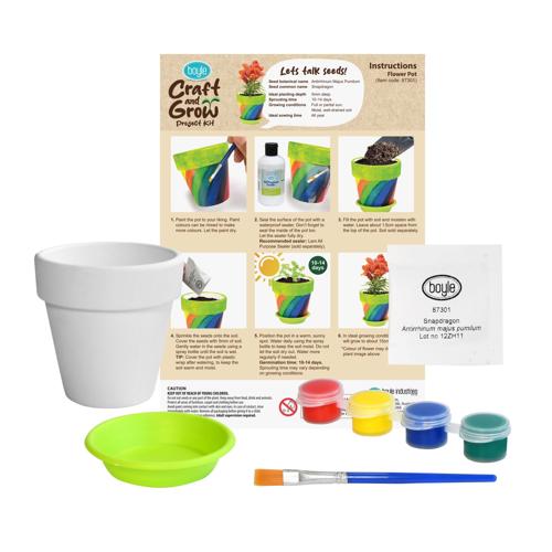 Boyle Craft & Grow Project - Flower Pot Plaster & Paint