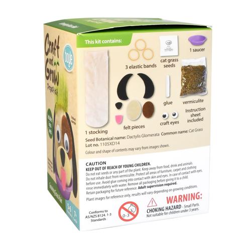 Boyle Craft & Grow Project - Flower Pot Plaster & Paint