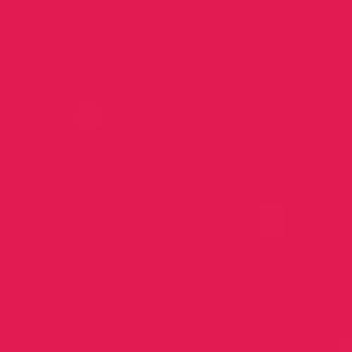 Jacquard Acid Dye 14.17g - Fluorescent Red 642