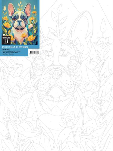 Byron Paint By Numbers Canvas Board - Kitty