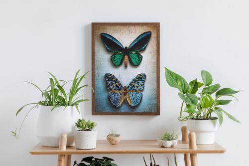 Diamond Dotz Diamond Kit - Tall & Tender 40x40cm