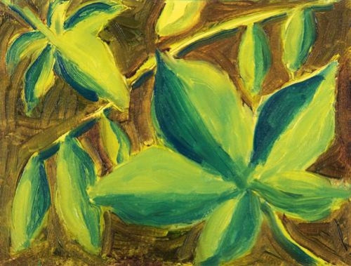 Winsor & Newton Winton Oil Colour Sets 37ml - 5 X 37ml Seascapes Set