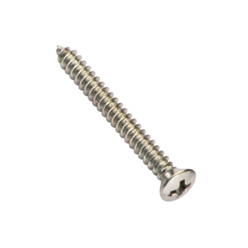 Champion 10G x 3/4in S/Tapping Screw Rsd HD Phillips - 100pk