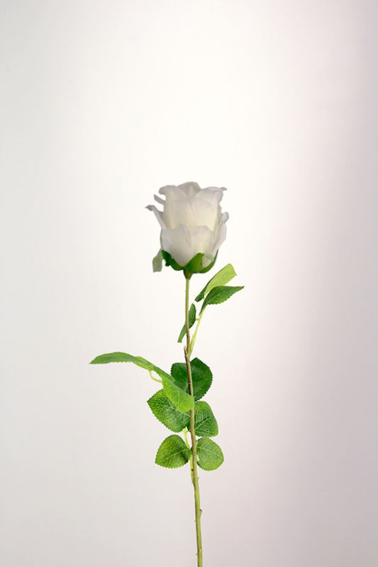 Artificial Single Rose - White - Set of 10