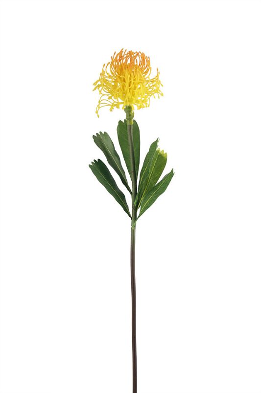Vibrant 62cm artificial Sugarbush Protea in yellow and orange, perfect for whimsical arrangements and long-lasting decor.