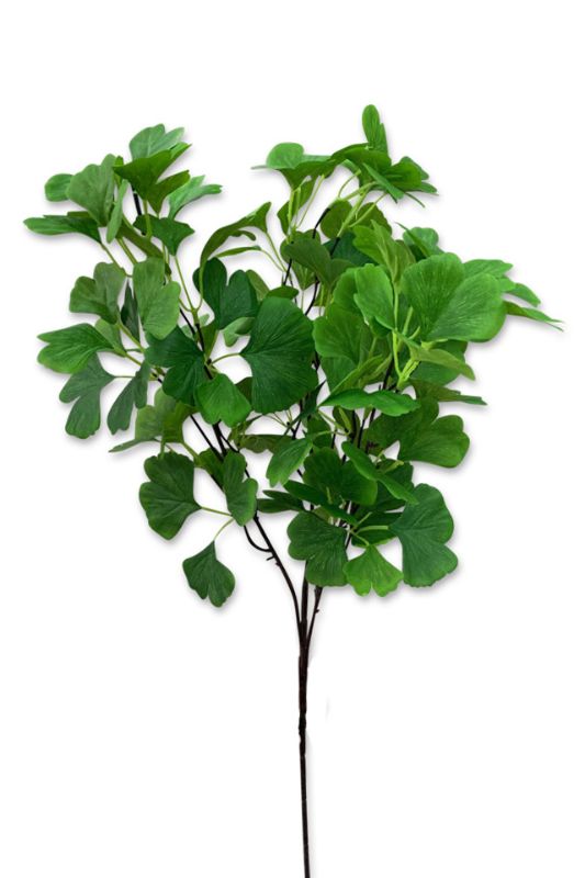 Artificial Ginkgo Leaf Spray - Mid Green - Set of 3