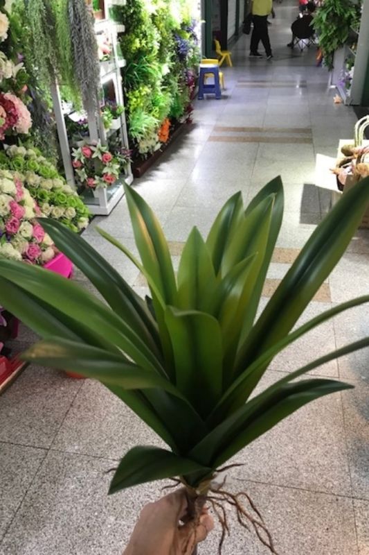 Artificial Deluxe Clivia Leaf Spray x 19 leaves - Mid Green