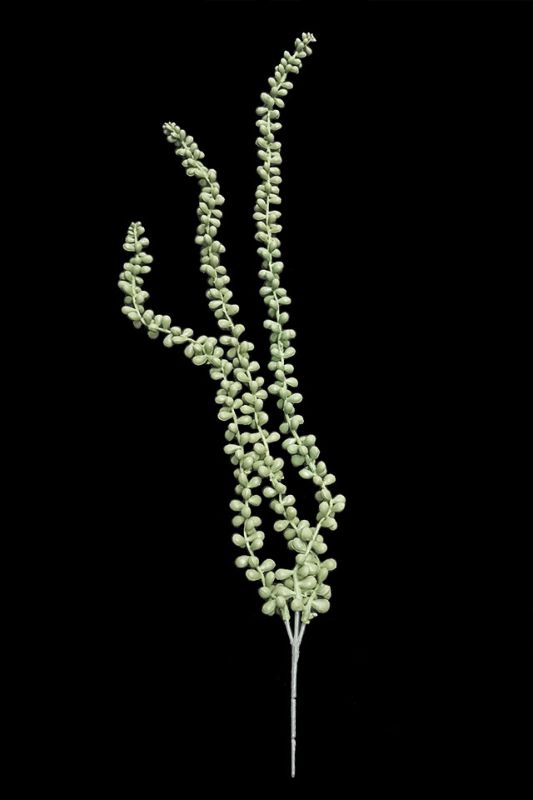 Artificial trailing string of pearls in sage hue, featuring cascading leaves for elegant home or office decor.