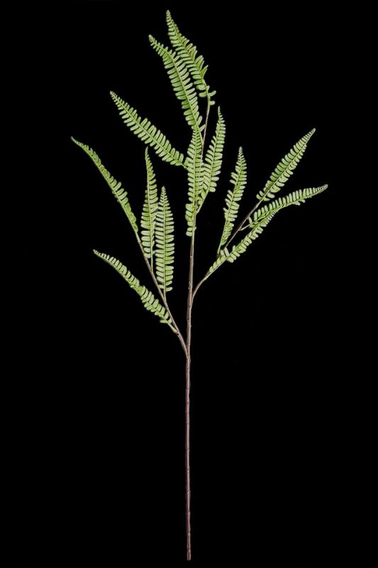 Artificial Boston Fern Spray set of 6 in sage color, perfect for adding lush greenery to any decor without maintenance.