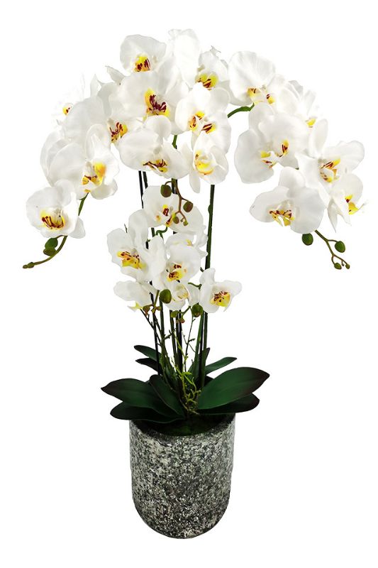 Artificial Extra-Large Phalaenopsis Orchid - Cement Vase - White