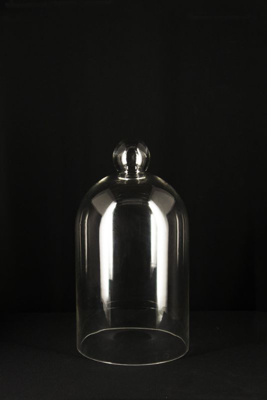 Glass - Premium Large Curve Dome - Clear - Set of 2