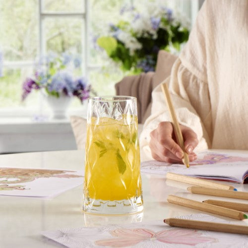 Leafy Hiball Tumbler 450ml - Pasabahce - Set of 4