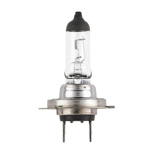 H7 12v 55w Everlife Halogen Headlight Globes