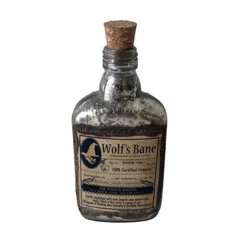 French Chateau Antique Medicine Bottle - Rustic Antique Silver - 15.2cm