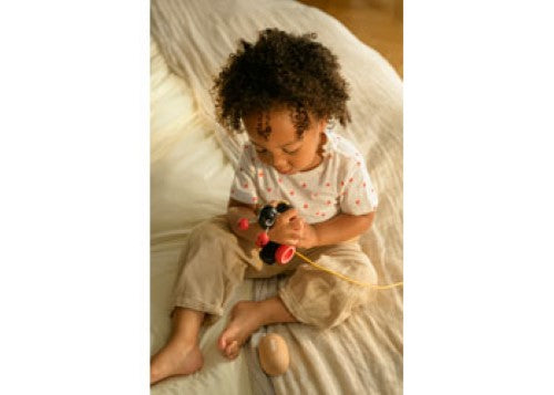 BRIO - Ant with Rolling Egg 2 pieces